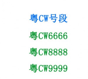 珠海车管所4月20日启用粤CW新号段 粤CW6666等多个车牌等着你