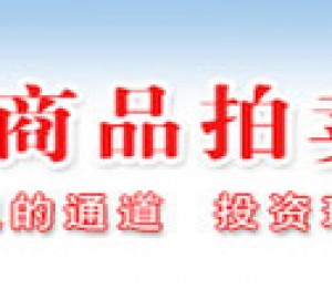 上海车牌拍卖网址入口：上海国拍网
