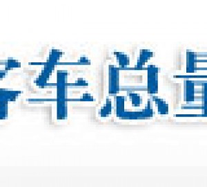 杭州车牌拍卖网址入口：杭州市小客车总量调控竞价系统