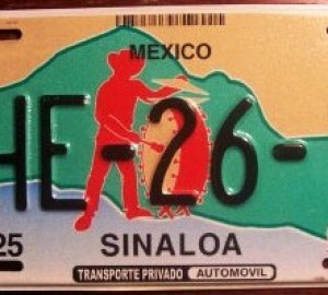 墨西哥车牌图片