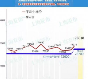 上海市2015年2月个人/单位非营业性客车额度投标拍卖结果